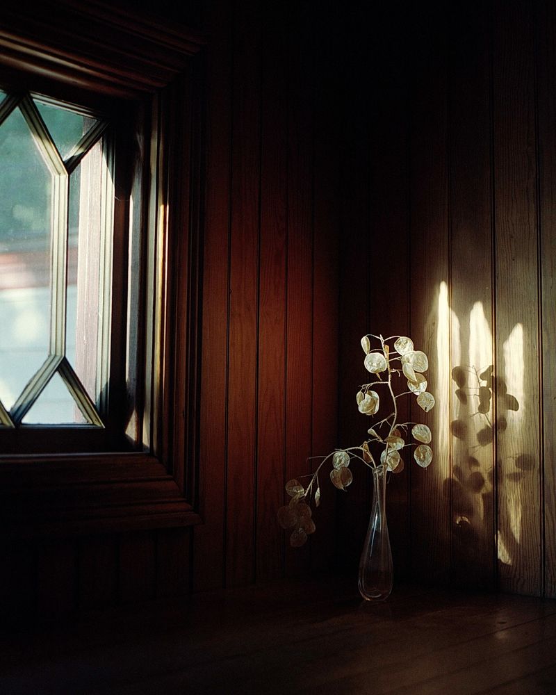 © Elizabeth McGrady - Image from the The Veil is Thin photography project