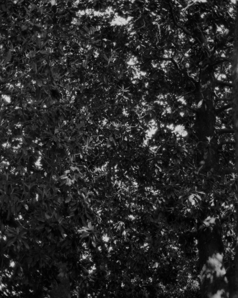 © Elizabeth McGrady - Image from the The Veil is Thin photography project