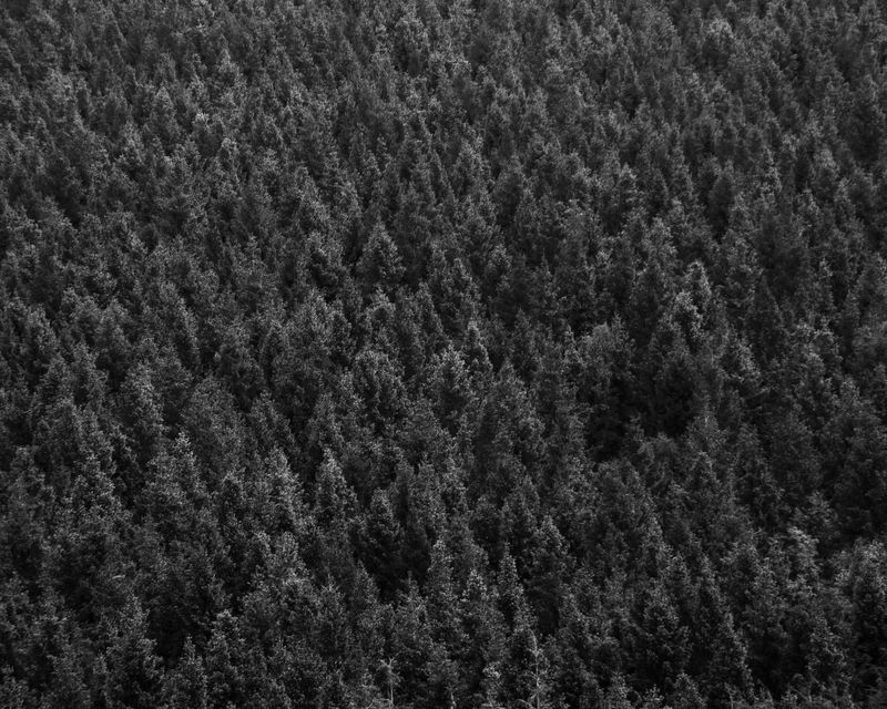 © Lukasz Kubicki - Image from the Reverence to the goddess of memory and time photography project