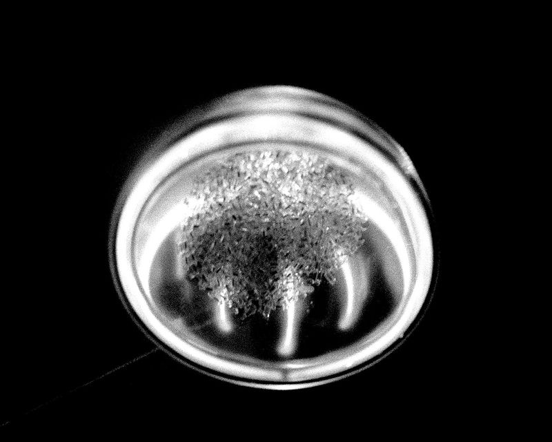 © Diego Brambilla - Image from the Mutatis Mutandis photography project