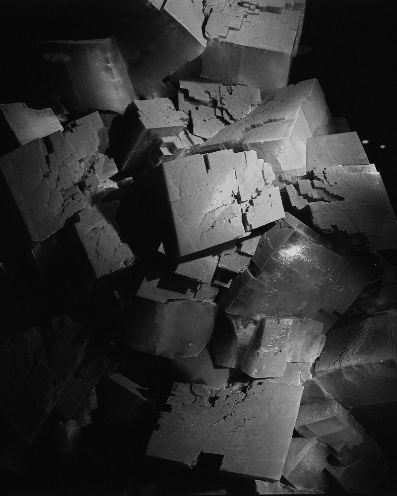 © Diego Brambilla - Image from the Mutatis Mutandis photography project