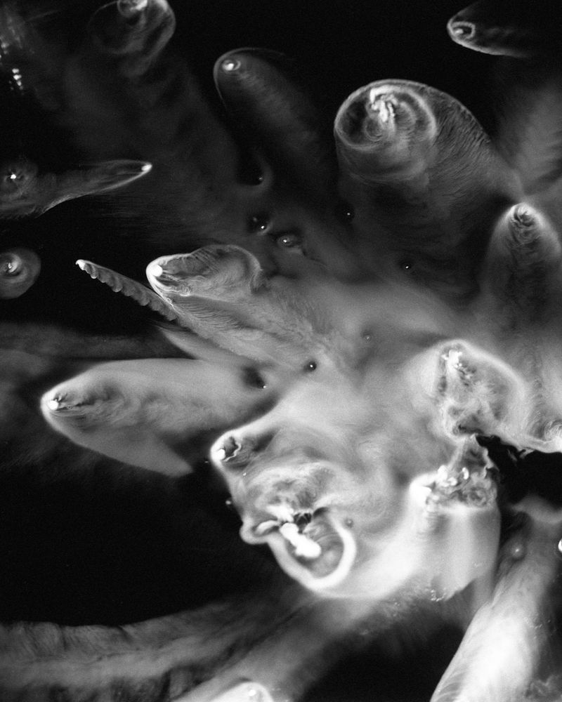 © Diego Brambilla - Image from the Mutatis Mutandis photography project