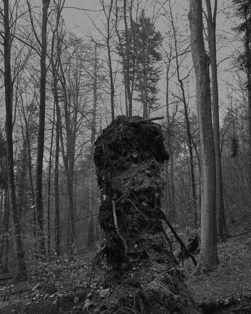 © Diego Brambilla - Image from the Off the Mark photography project