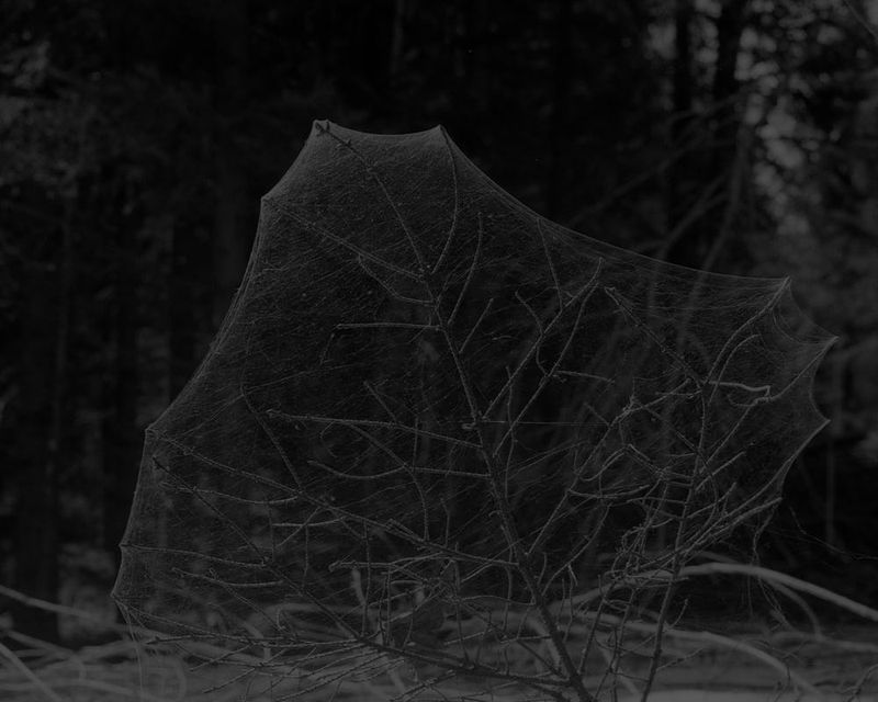 © Diego Brambilla - Image from the Off the Mark photography project
