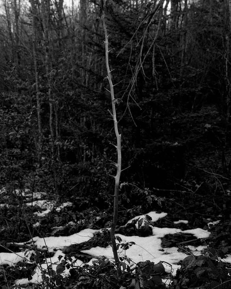 © Diego Brambilla - Image from the Off the Mark photography project