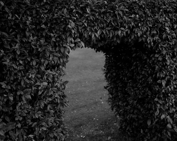 © Diego Brambilla - Image from the Off the Mark photography project