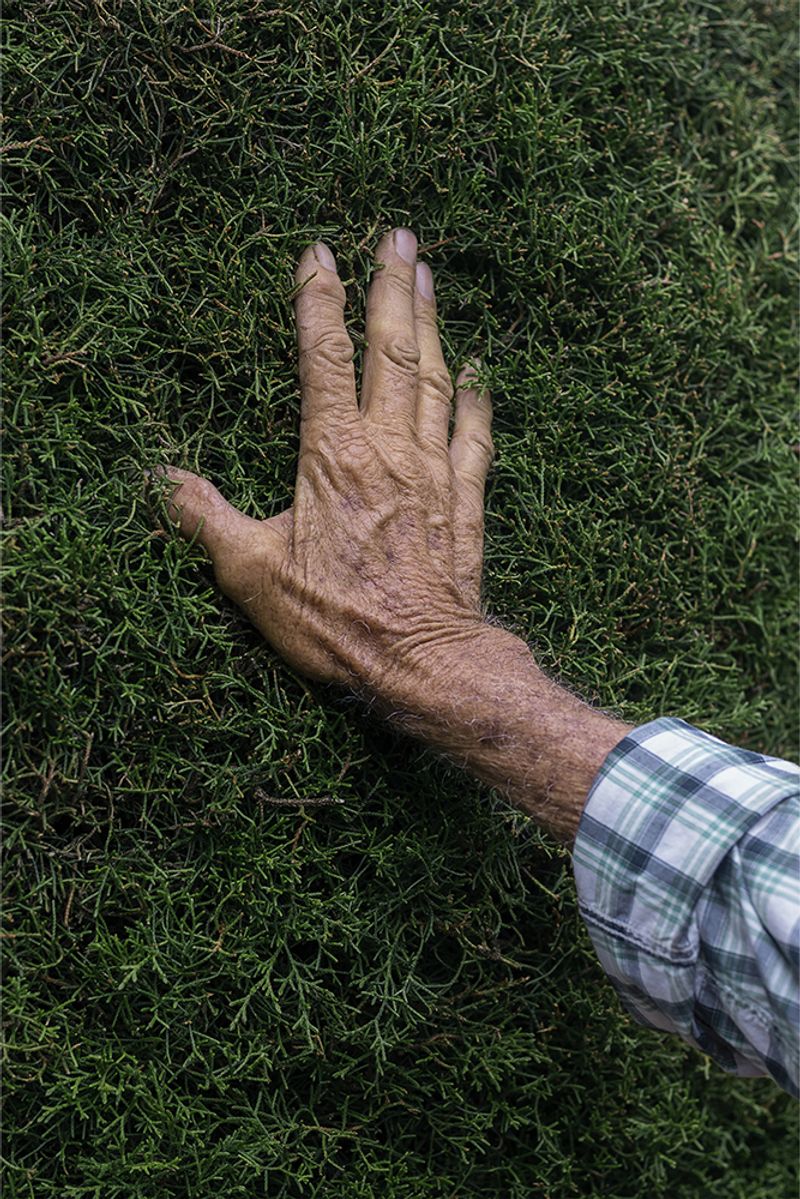 © Lilly Arce - Image from the OFF n ON photography project