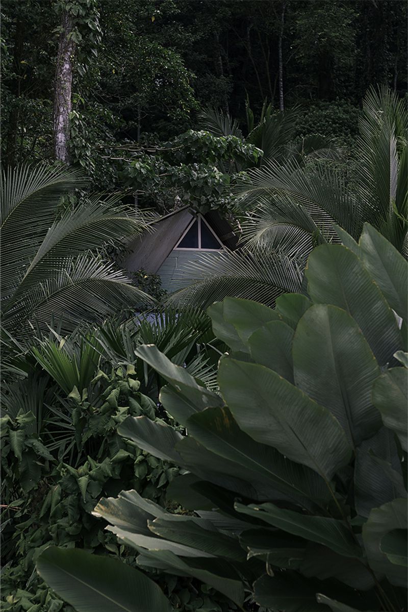 © Lilly Arce - Image from the OFF n ON photography project