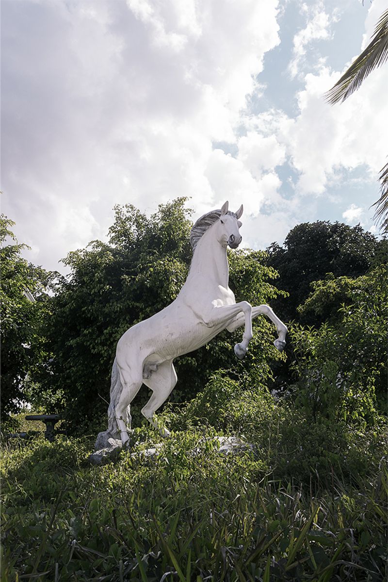 © Lilly Arce - Image from the OFF n ON photography project