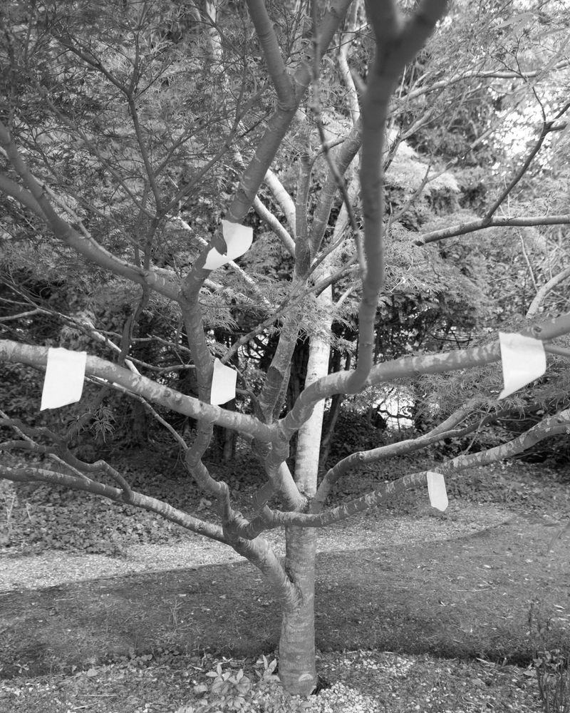 © Barkat Mehra - Image from the Underwood photography project