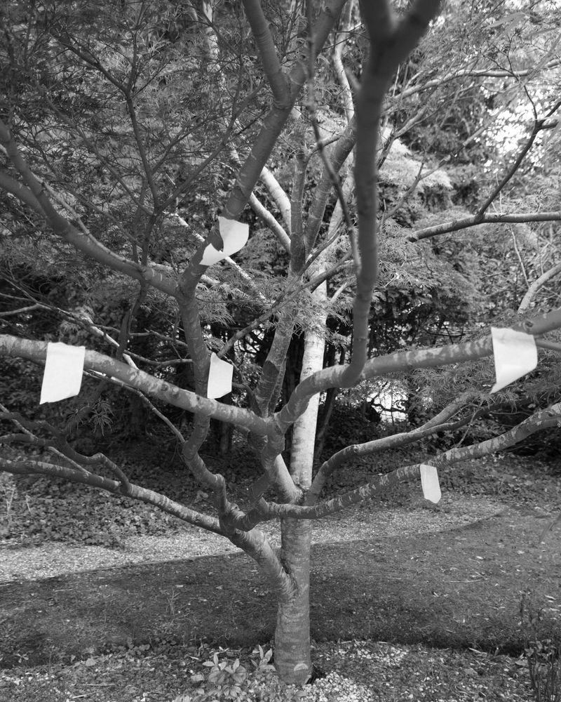 © Barkat Mehra - Image from the Underwood photography project