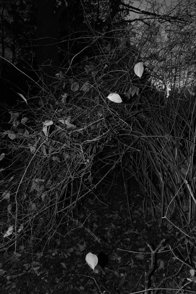 © Barkat Mehra - Image from the Underwood photography project