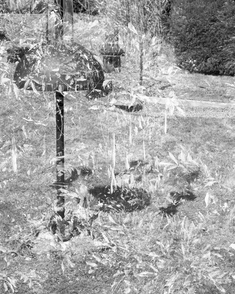 © Barkat Mehra - Image from the Underwood photography project