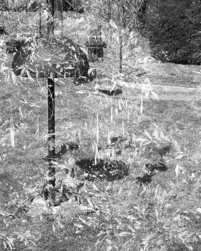 © Barkat Mehra - Image from the Underwood photography project