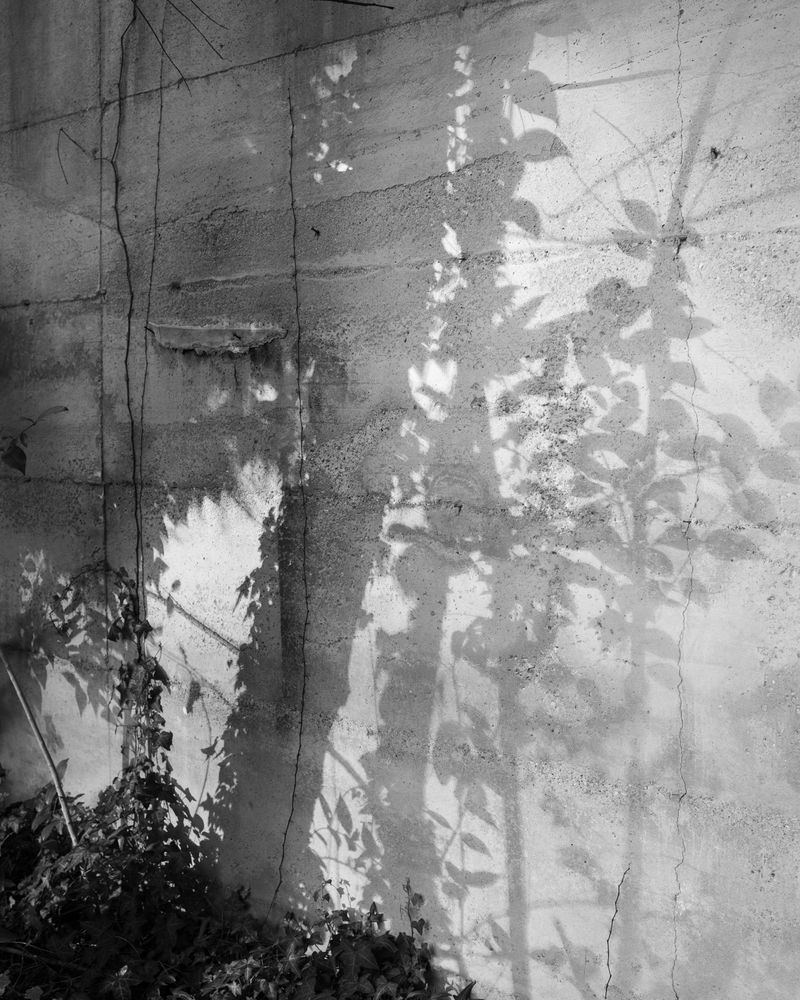 © Elena Prola - Image from the OFF STAGE photography project