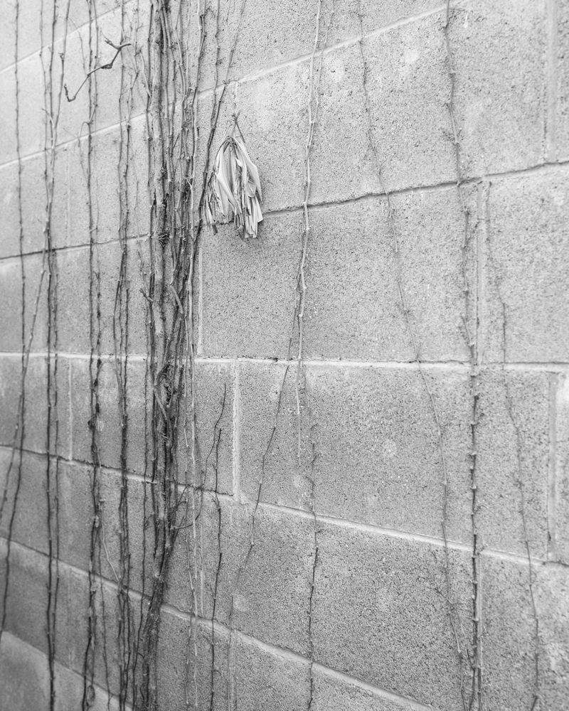 © Elena Prola - Image from the OFF STAGE photography project