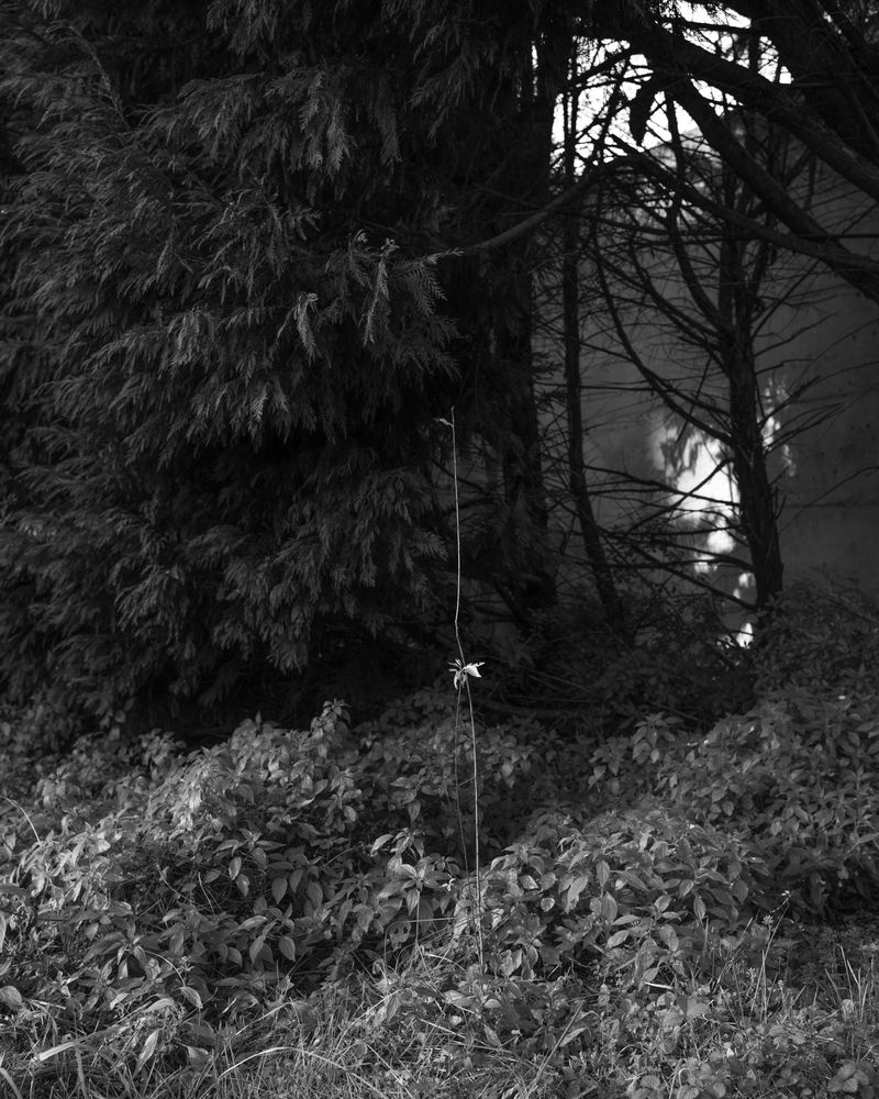 © Elena Prola - Image from the OFF STAGE photography project