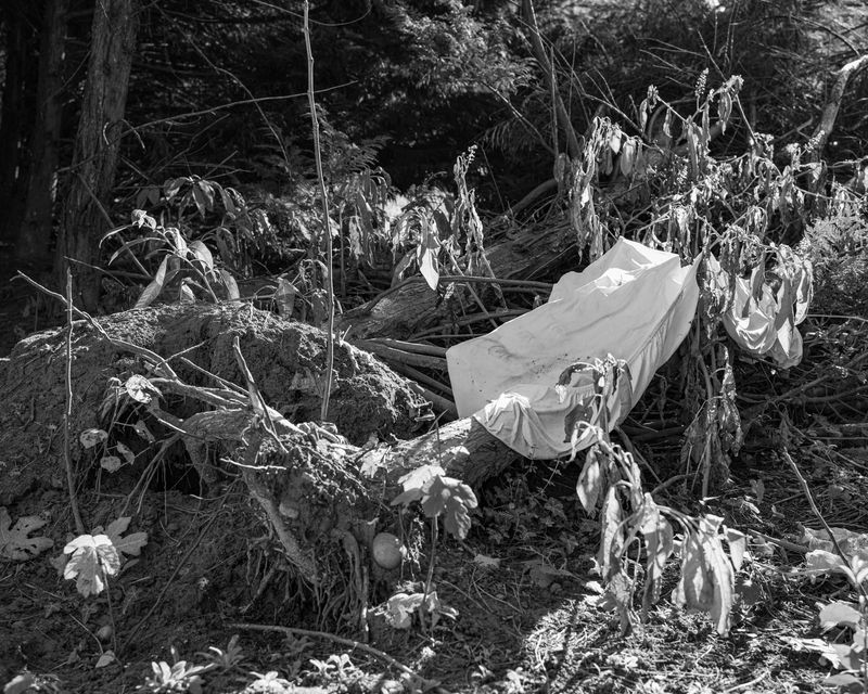 © Elena Prola - Image from the OFF STAGE photography project