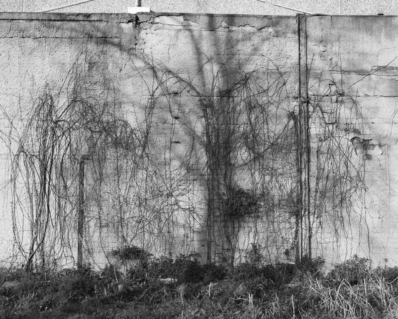 © Elena Prola - Image from the OFF STAGE photography project