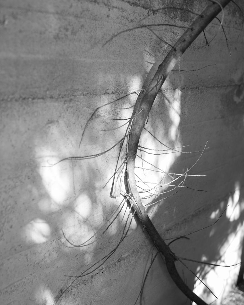 © Elena Prola - Image from the Before you stand photography project