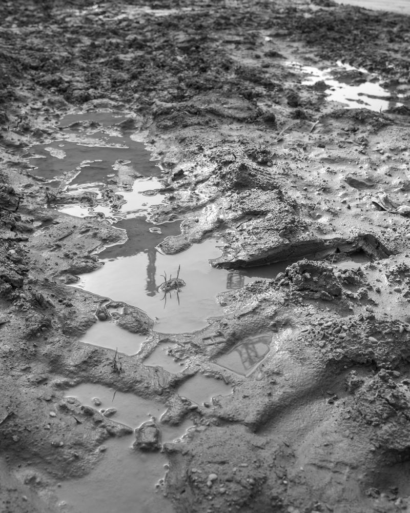 © Elena Prola - Image from the Before you stand photography project