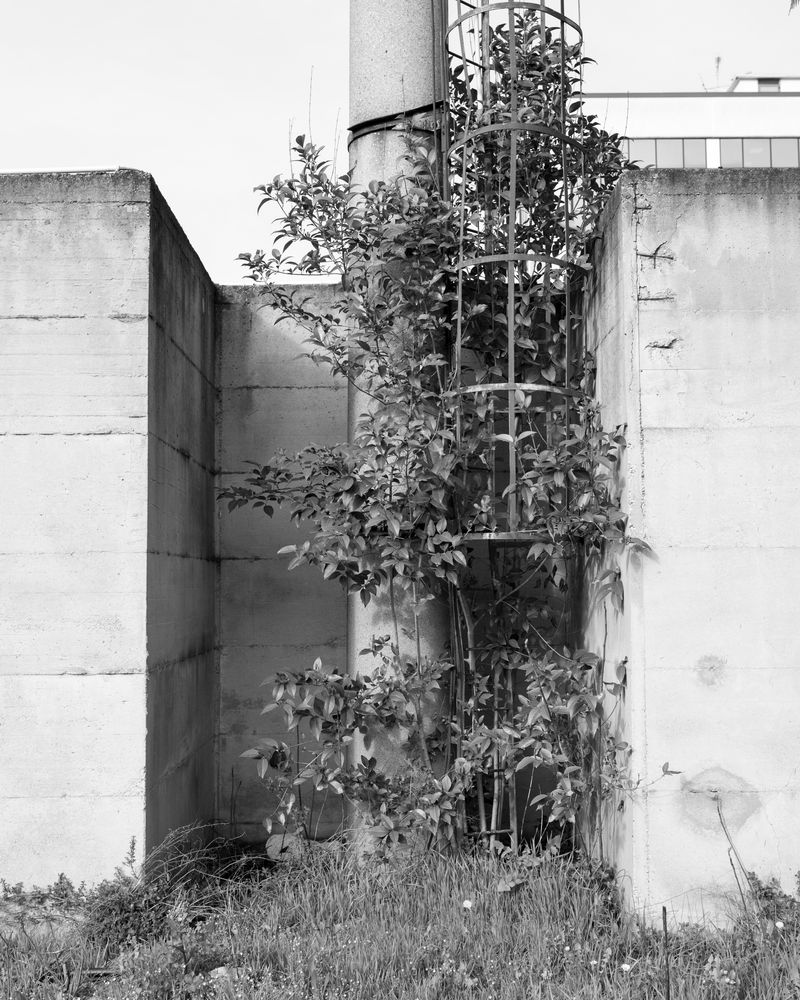 © Elena Prola - Image from the Before you stand photography project