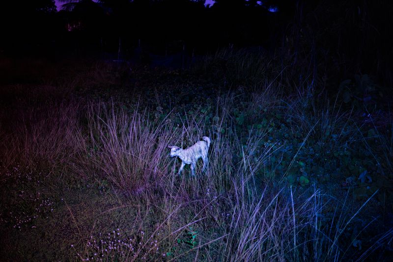 © Natthaya Thaidecha - Image from the As She Calls Her Breath Back photography project