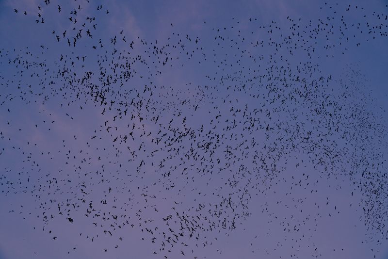 © Natthaya Thaidecha - Image from the As She Calls Her Breath Back photography project