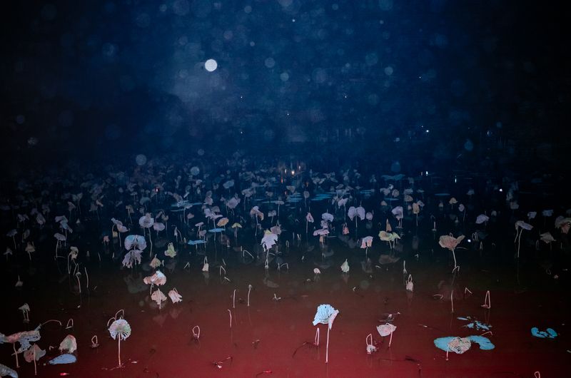 © Natthaya Thaidecha - Image from the As She Calls Her Breath Back photography project