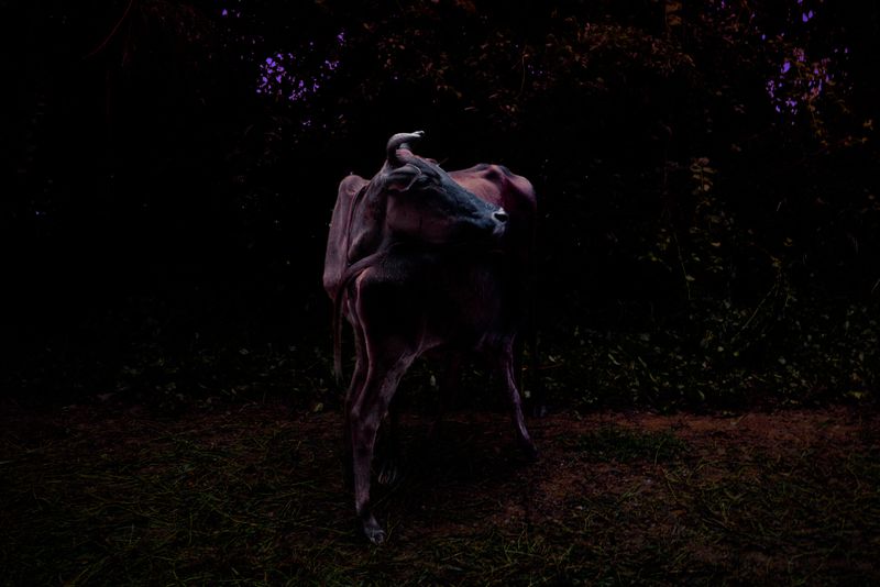 © Natthaya Thaidecha - Image from the As She Calls Her Breath Back photography project