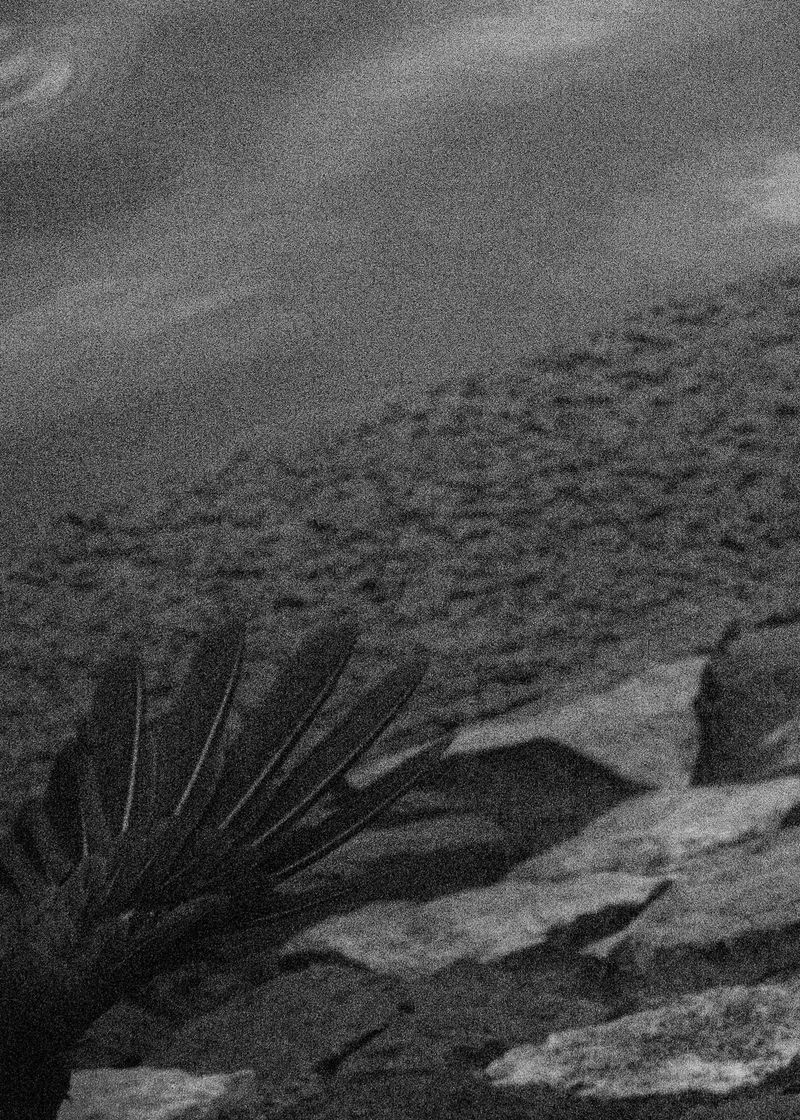 © Natthaya Thaidecha - Image from the May The Matter Rest photography project