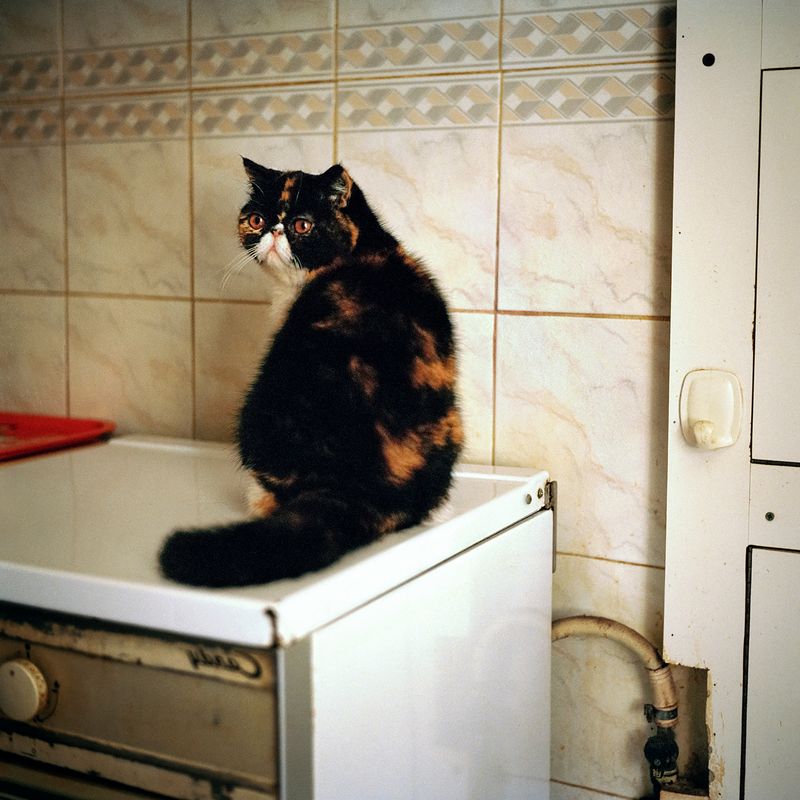 © Federica Sasso - Image from the Post-Adolescence photography project