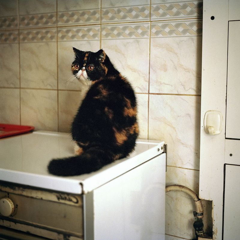 © Federica Sasso - Image from the Post-Adolescence photography project