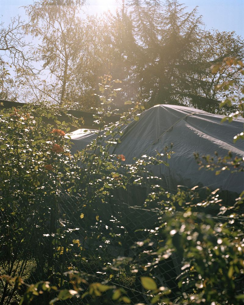 © Eleonora Agostini - Untitled (as part as Borders), 2018