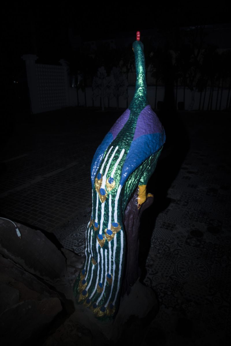© Kirthana Devdas - Image from the Venus Flytrap photography project