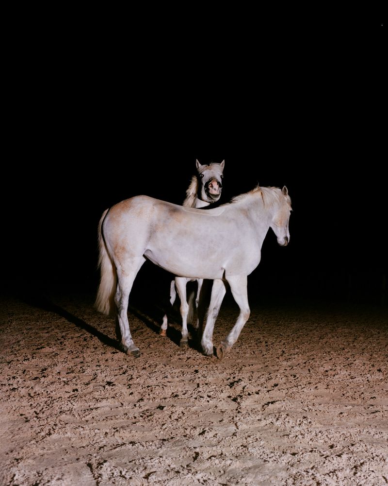 © Henri Kisielewski - Control, (2024). Kodak medium format colour negative film (6x7).