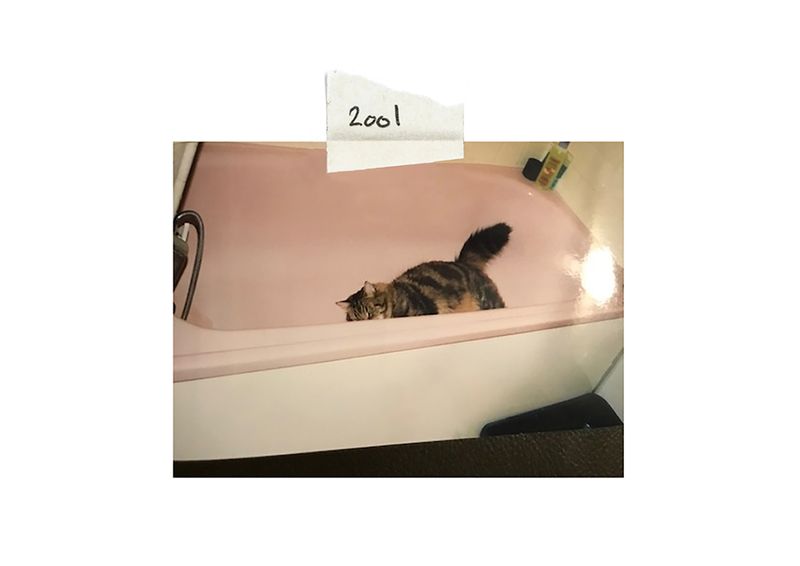 © Henri Kisielewski - Archival photo, (2001).