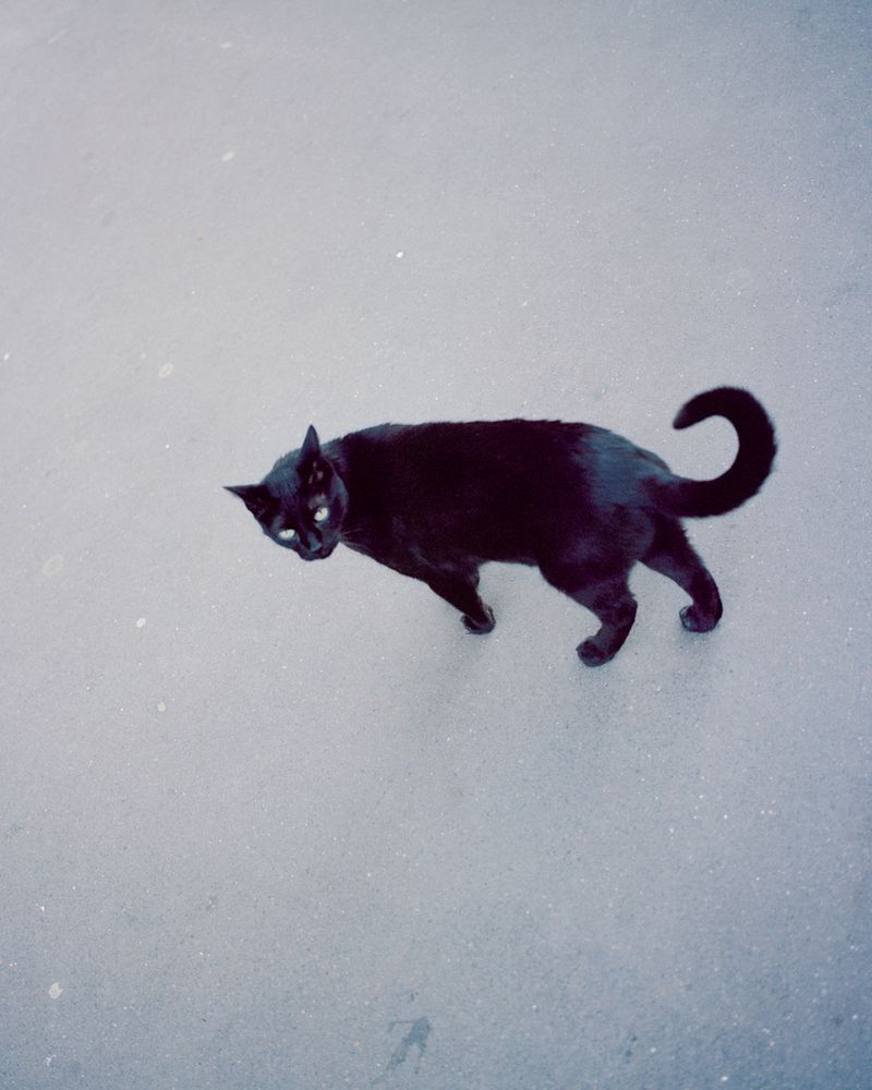 © Henri Kisielewski - Image from the Atlas for L photography project