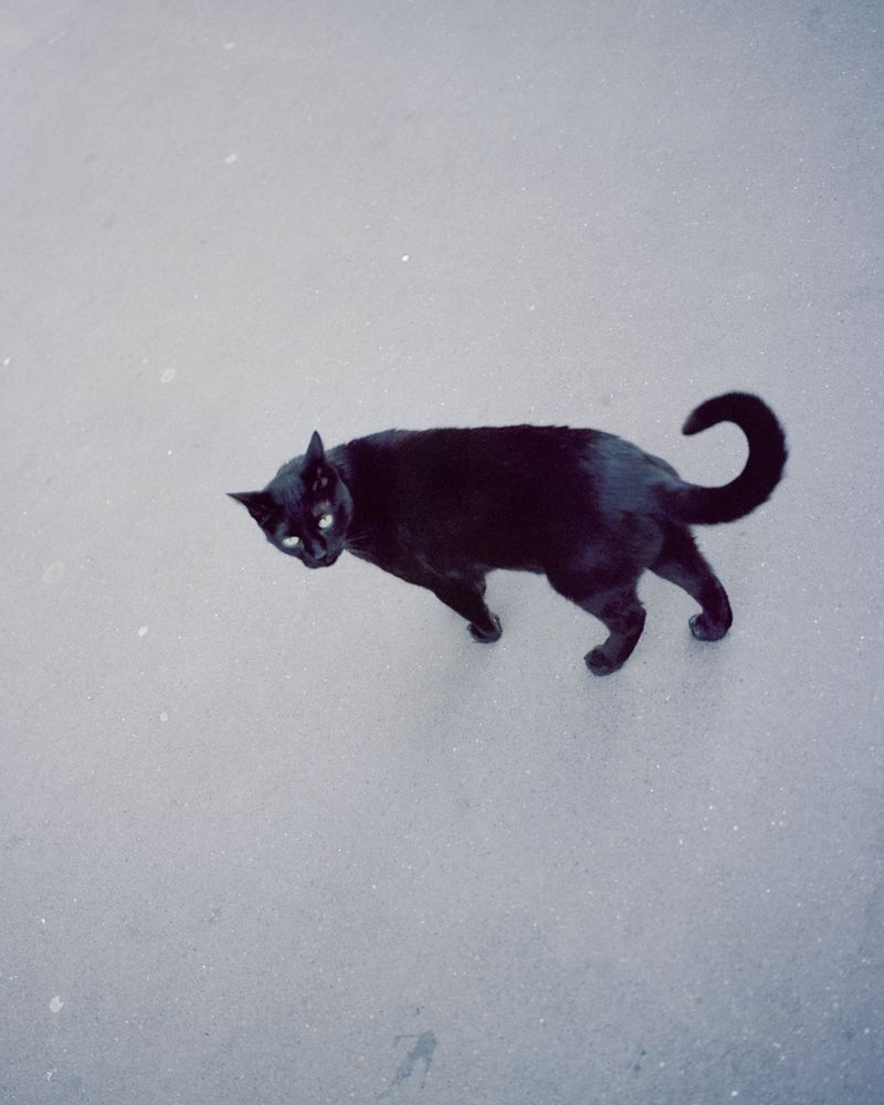 © Henri Kisielewski - Image from the Atlas for L photography project