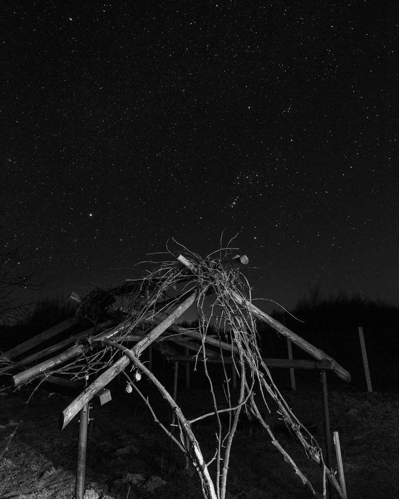 © Mateusz Kowalik - Image from the Devil's Rib photography project