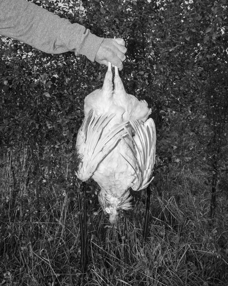 © Mateusz Kowalik - Image from the Devil's Rib photography project