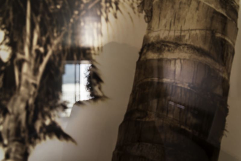 © ana casal - Image from the Fracciones photography project