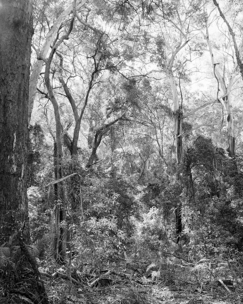 © Clément Verger - 10_new_south_wales_australia_endeavour_2018