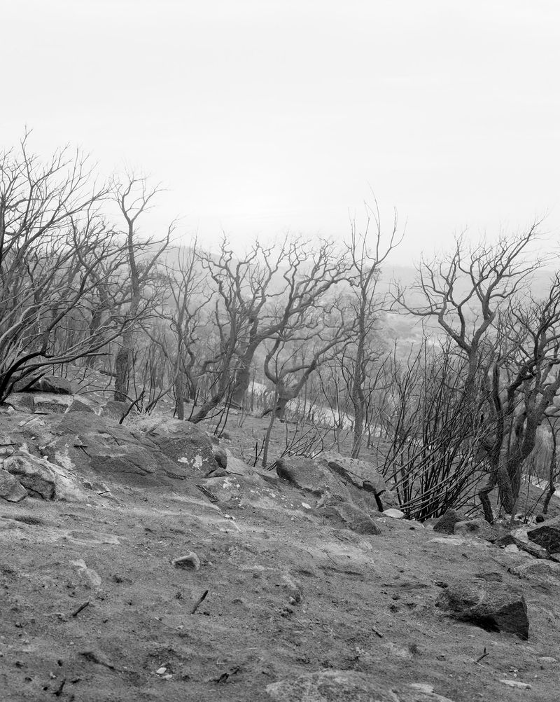 © Clément Verger - 25_monchique_protugal_endeavour_2017