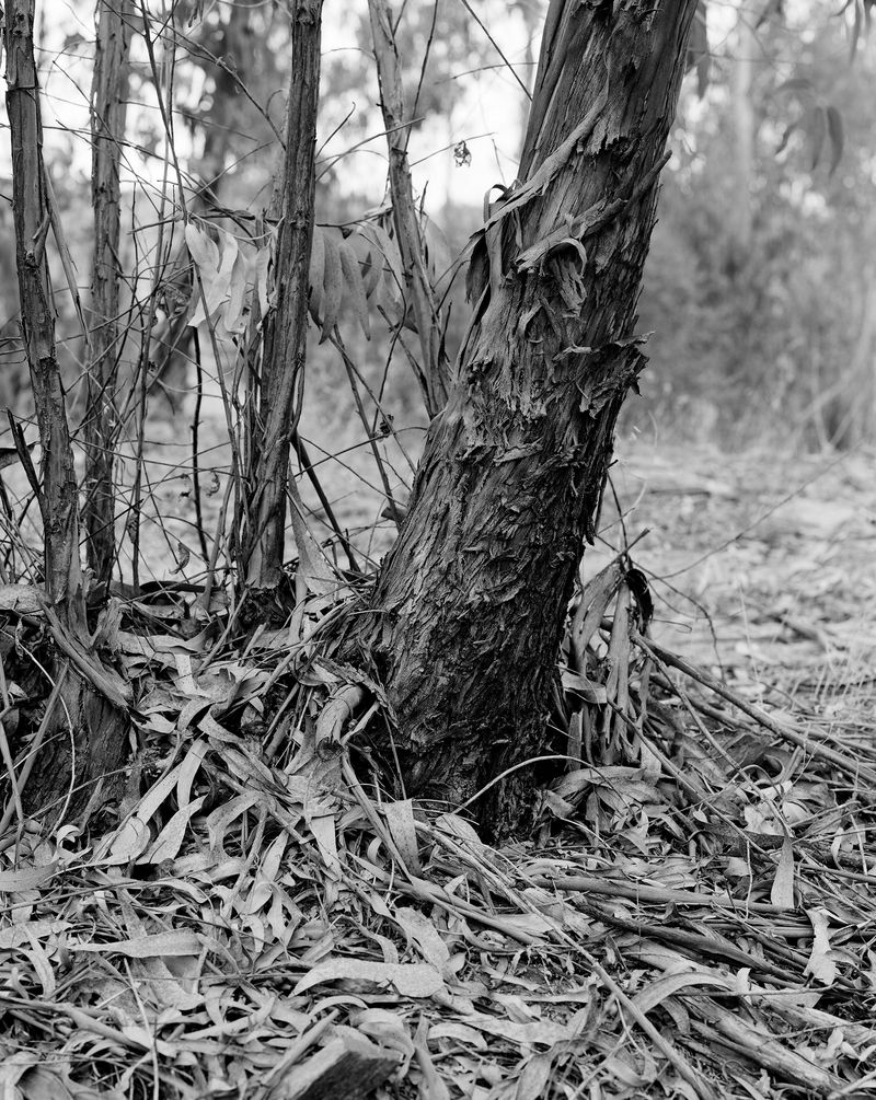 © Clément Verger - 21_portugal_endeavour_2017