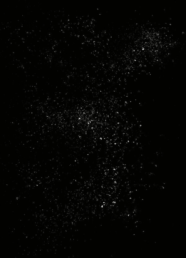 © Clément Verger - 01_ashes_endeavour_2016