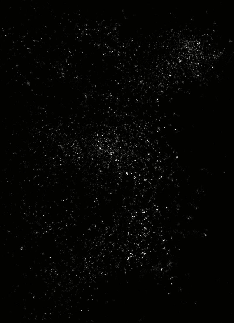 © Clément Verger - 01_ashes_endeavour_2016