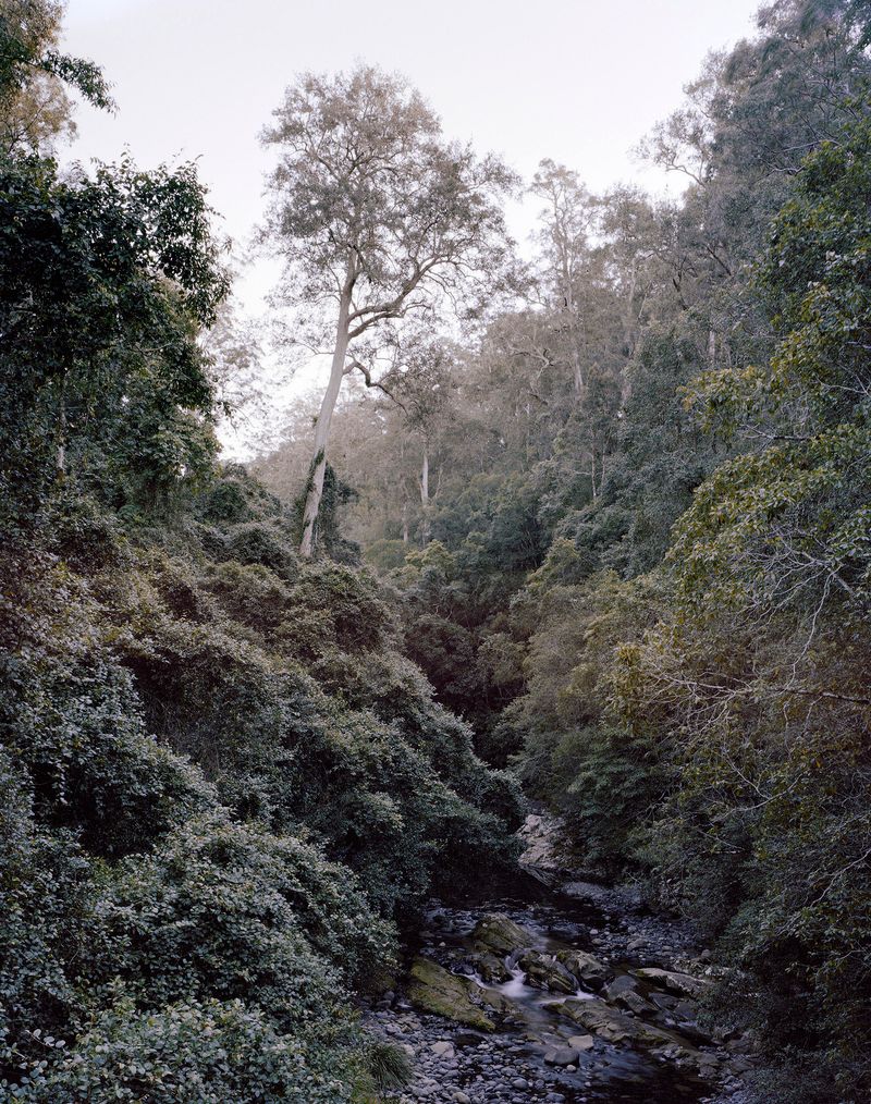 © Clément Verger - 09_new_south_wales_australia_endeavour_2018