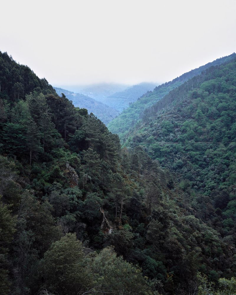 © Clément Verger - 22_portugal_coimbra__endeavour_2017