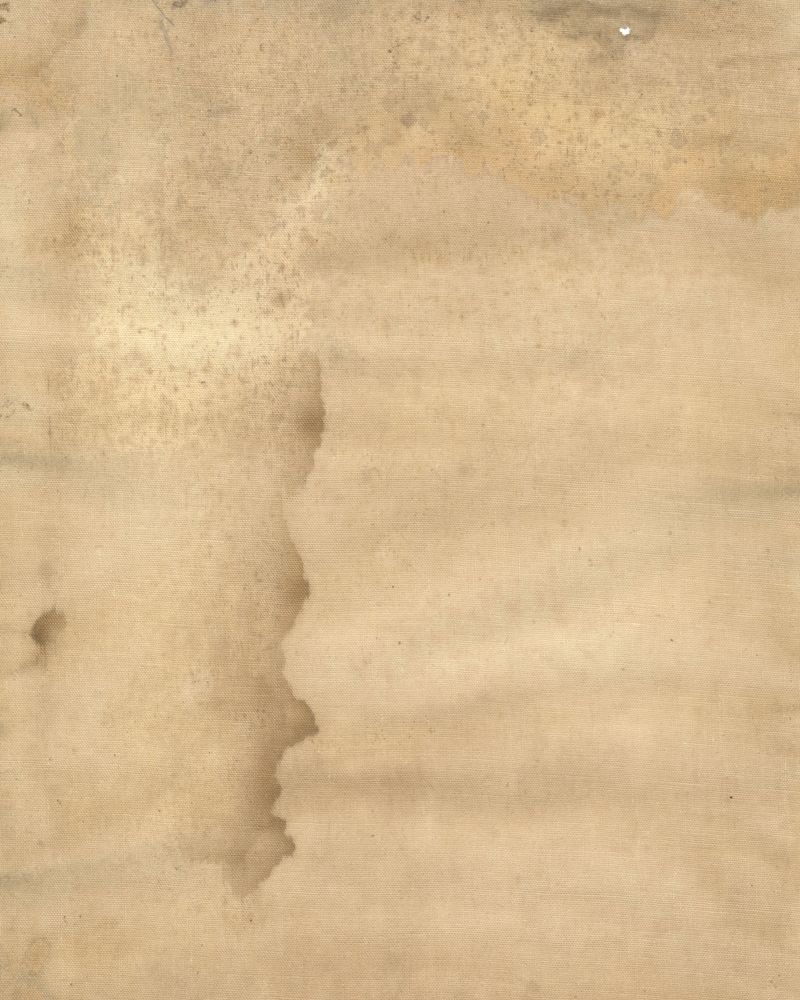 © Veronica Puche - Image from the Such as my great uncle, eaten by a shark photography project